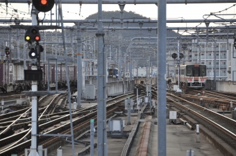 JR貨物 EF210形 EF210-115 鉄道フォト・写真 by Aץameさん 姫路駅：2021年10月23日16時ごろ