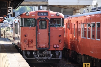JR西日本 キハ41形 キハ41 2001 鉄道フォト・写真 by Aץameさん 和田山駅：2021年10月24日11時ごろ