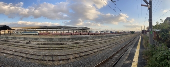 JR貨物 国鉄EF66形電気機関車 EF66 113 鉄道フォト・写真 by Aץameさん 美濃赤坂駅：2021年12月03日15時ごろ