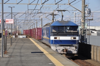 JR貨物 EF210形 EF210-310 鉄道フォト・写真 by Aץameさん 大高駅：2021年12月03日13時ごろ