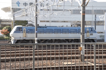 JR貨物 国鉄EF66形電気機関車 EF66 113 鉄道フォト・写真 by Aץameさん 笠寺駅：2021年12月03日13時ごろ