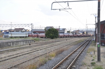 JR貨物 国鉄EF66形電気機関車 EF66 113 鉄道フォト・写真 by Aץameさん 美濃赤坂駅：2021年12月03日15時ごろ