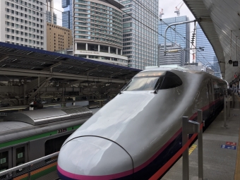JR東日本 E224形(T2c) E224-1111 鉄道フォト・写真 by Aץameさん 東京駅 (JR)：2017年08月06日11時ごろ