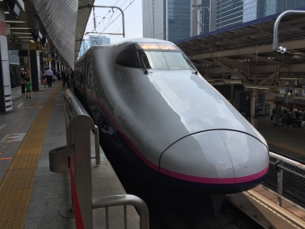 JR東日本 E2系新幹線電車 E224形(T2c) 鉄道フォト・写真 by Aץameさん 東京駅 (JR)：2017年08月06日11時ごろ