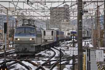 JR貨物 国鉄EF66形電気機関車 EF66 129 鉄道フォト・写真 by Aץameさん 大垣駅 (JR)：2021年12月29日09時ごろ