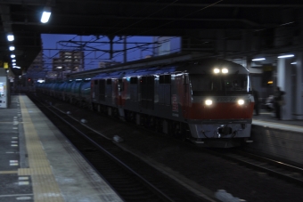 JR貨物 DF200形 DF200-205 鉄道フォト・写真 by Aץameさん 桑名駅 (JR)：2022年01月10日17時ごろ