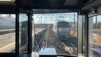 JR貨物 国鉄EF66形電気機関車 EF66 110 鉄道フォト・写真 by Aץameさん 笠寺駅：2022年01月10日09時ごろ
