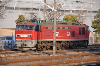 JR貨物 EF510形 EF510-15 鉄道フォト・写真 by Aץameさん 大府駅：2022年02月02日07時ごろ