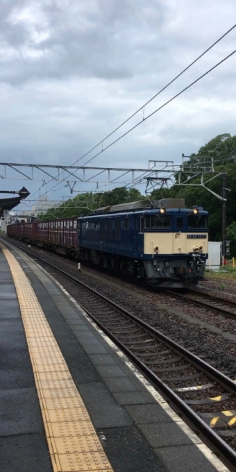 JR貨物 国鉄EF64形電気機関車 EF64 1037 鉄道フォト・写真 by Aץameさん 大曽根駅 (JR)：2020年08月28日12時ごろ