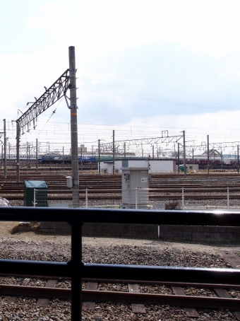 JR貨物EF210形電気機関車 鉄道フォト・写真 by Aץameさん 京都駅 (JR)：2017年03月28日02時ごろ