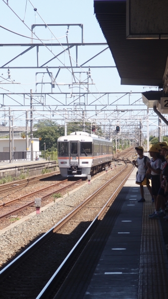 JR東海 クハ372形 クハ372-5 鉄道フォト・写真 by Aץameさん 二川駅：2016年08月26日13時ごろ