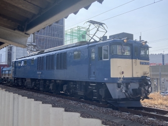 JR貨物 国鉄EF64形電気機関車 EF64 1034 鉄道フォト・写真 by Aץameさん 大曽根駅 (JR)：2022年03月08日13時ごろ