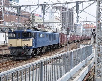JR貨物 国鉄EF64形電気機関車 EF64 1042 鉄道フォト・写真 by Aץameさん 名古屋駅 (JR)：2022年03月09日13時ごろ