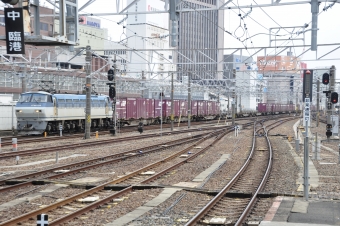 JR貨物 国鉄EF66形電気機関車 EF66 124 鉄道フォト・写真 by Aץameさん 名古屋駅 (JR)：2022年03月09日13時ごろ