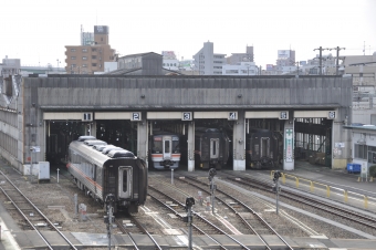 JR東海キハ75系気動車 鉄道フォト・写真 by Aץameさん 名古屋駅 (JR)：2022年03月17日16時ごろ