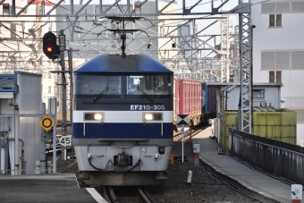 JR貨物 EF210形 EF210-305 鉄道フォト・写真 by Aץameさん 名古屋駅 (あおなみ線)：2022年04月05日16時ごろ