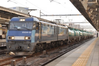 JR貨物 EH200形 EH200-20 鉄道フォト・写真 by Aץameさん 名古屋駅 (JR)：2022年04月05日16時ごろ
