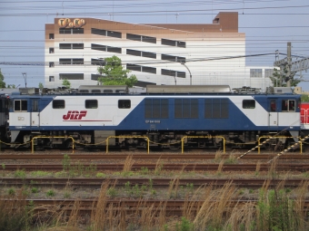 JR貨物 国鉄EF64形電気機関車 EF64 1018 鉄道フォト・写真 by Aץameさん 稲沢駅：2022年05月19日16時ごろ