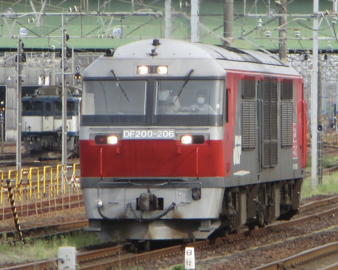 JR貨物 DF200形 DF200-206 鉄道フォト・写真 by Aץameさん 稲沢駅：2022年05月19日16時ごろ