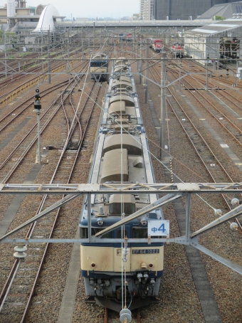 JR貨物 国鉄EF64形電気機関車 EF64 1022 鉄道フォト・写真 by Aץameさん 稲沢駅：2022年05月19日16時ごろ