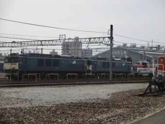 JR貨物 国鉄EF64形電気機関車 EF64 1043 鉄道フォト・写真 by Aץameさん 稲沢駅：2022年05月19日16時ごろ