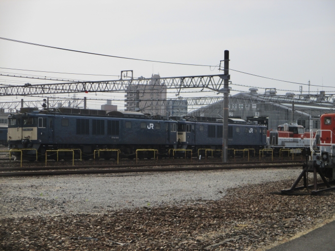 JR貨物 国鉄EF64形電気機関車 EF64 1043 鉄道フォト・写真 by Aץameさん 稲沢駅：2022年05月19日16時ごろ