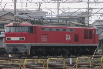 JR貨物 EF510形 EF510-5 鉄道フォト・写真 by Aץameさん 稲沢駅：2022年05月19日17時ごろ