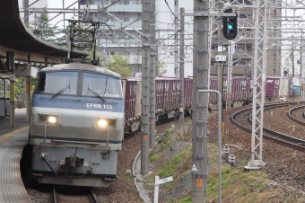 JR貨物 国鉄EF66形電気機関車 EF66 113 鉄道フォト・写真 by Aץameさん 尾頭橋駅：2022年04月17日11時ごろ