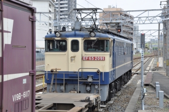 JR貨物 国鉄EF65形電気機関車 EF65 2091 鉄道フォト・写真 by Aץameさん 熱田駅：2022年04月17日12時ごろ