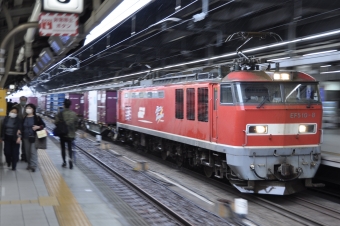 JR貨物 EF510形 EF510-8 鉄道フォト・写真 by Aץameさん 名古屋駅 (JR)：2022年04月29日12時ごろ