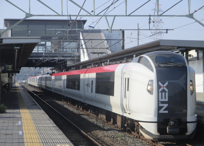 JR東日本 クロE259形 クロE259-10 鉄道フォト・写真 by Aץameさん 物井駅：2022年10月23日08時ごろ
