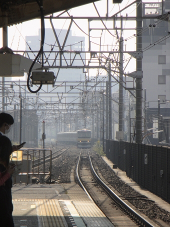 JR東日本 クハE230形 クハE230-11 鉄道フォト・写真 by Aץameさん 西千葉駅：2022年10月23日09時ごろ