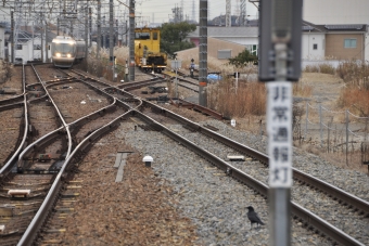 JR東海 クロ383形 しなの(特急) クロ383-5 鉄道フォト・写真 by Aץameさん 高蔵寺駅 (JR)：2022年12月20日14時ごろ