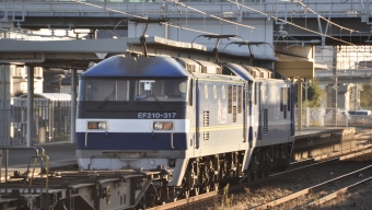 JR貨物 EF210形 EF210-317 鉄道フォト・写真 by Aץameさん 舞阪駅：2022年12月26日07時ごろ