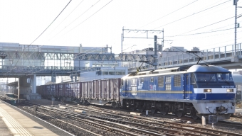 JR貨物 EF210形 EF210-309 鉄道フォト・写真 by Aץameさん 枇杷島駅 (城北線)：2023年01月12日08時ごろ