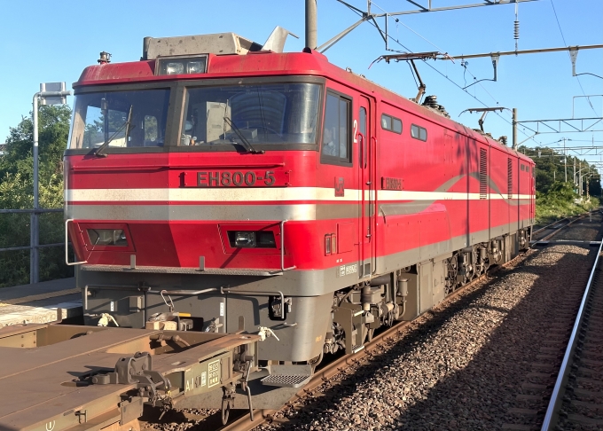 JR貨物 EH800形 EH800-5 鉄道フォト・写真 by Aץameさん 郷沢駅：2023年08月11日17時ごろ