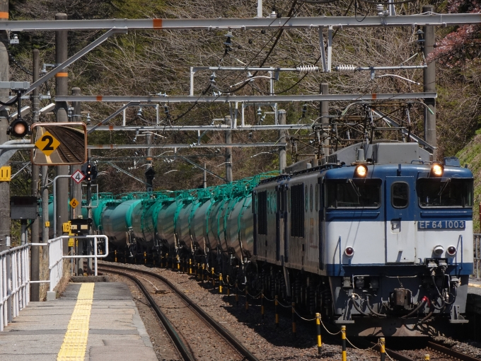 鉄道フォト・写真：JR貨物 国鉄EF64形電気機関車 EF64-1003 倉本駅 鉄道フォト・写真 by 浜五井の撮影記録さん - 撮影日 2021/04/10 12:10