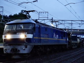 JR貨物 EF210形 EF210-318 鉄道フォト・写真 by 浜五井の撮影記録さん 真鶴駅：2021年06月20日04時ごろ