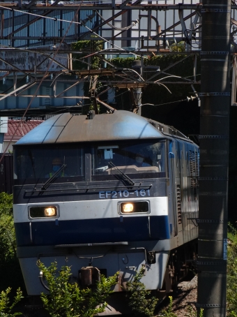 JR貨物 EF210形 EF210-161 鉄道フォト・写真 by 浜五井の撮影記録さん 浜川崎駅：2021年08月19日12時ごろ