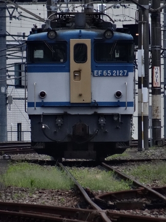 JR貨物 国鉄EF65形電気機関車 EF65-2127 鉄道フォト・写真 by 浜五井の撮影記録さん 八王子駅：2021年07月13日18時ごろ