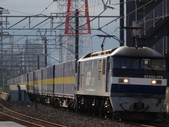 JR貨物 EF210形 EF210-172 鉄道フォト・写真 by 浜五井の撮影記録さん 八丁畷駅 (JR)：2021年10月10日07時ごろ