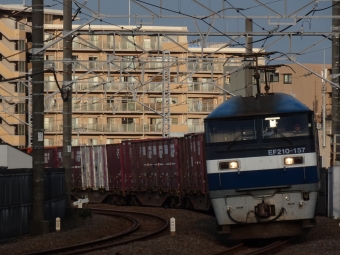 JR貨物 EF210形 EF210-157 鉄道フォト・写真 by 浜五井の撮影記録さん 八丁畷駅 (JR)：2021年10月10日06時ごろ