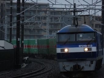 JR貨物 EF210形 EF210-113 鉄道フォト・写真 by 浜五井の撮影記録さん 八丁畷駅 (JR)：2021年10月01日09時ごろ