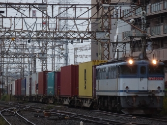 JR貨物 国鉄EF65形電気機関車 EF65-2057 鉄道フォト・写真 by 浜五井の撮影記録さん 浜川崎駅：2021年10月22日09時ごろ