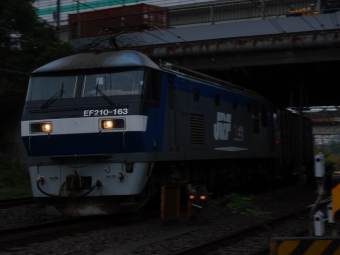 JR貨物 EF210形 EF210-163 鉄道フォト・写真 by 浜五井の撮影記録さん 浜川崎駅：2021年10月22日10時ごろ