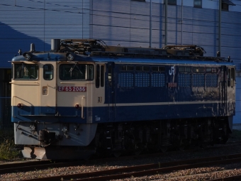 JR貨物 国鉄EF65形電気機関車 EF65-2086 鉄道フォト・写真 by 浜五井の撮影記録さん 蘇我駅：2021年10月23日15時ごろ