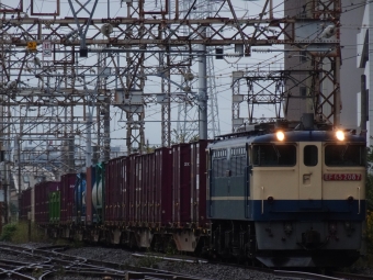 JR貨物 国鉄EF65形電気機関車 EF65-2087 鉄道フォト・写真 by 浜五井の撮影記録さん 浜川崎駅：2021年10月22日13時ごろ