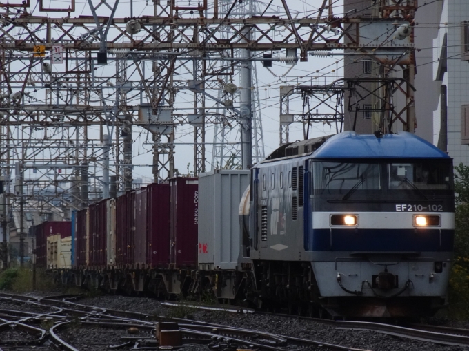 鉄道フォト・写真：JR貨物EF210形電気機関車 EF210-102 浜川崎駅 鉄道フォト・写真 by 浜五井の撮影記録さん - 撮影日 2021/10/22 13:12