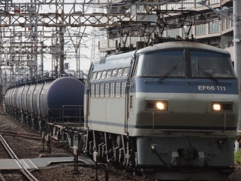 JR貨物 国鉄EF66形電気機関車 EF66-111 鉄道フォト・写真 by 浜五井の撮影記録さん 浜川崎駅：2021年03月26日14時ごろ