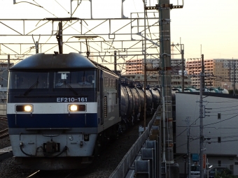 JR貨物 EF210形 EF210-161 鉄道フォト・写真 by 浜五井の撮影記録さん 八丁畷駅 (JR)：2021年12月11日16時ごろ